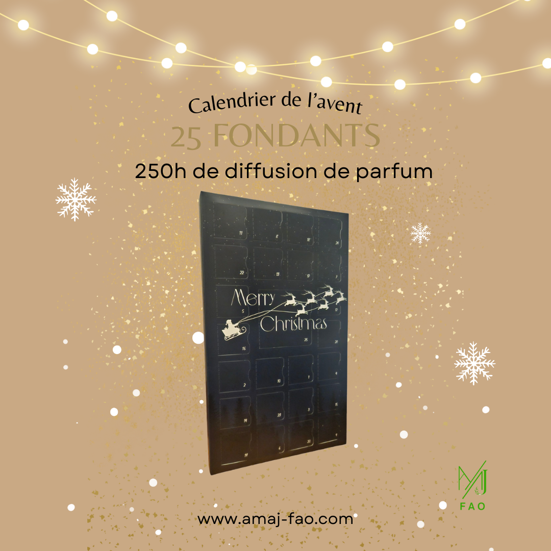 Calendrier de l'Avent 25 Cases 🎄✨